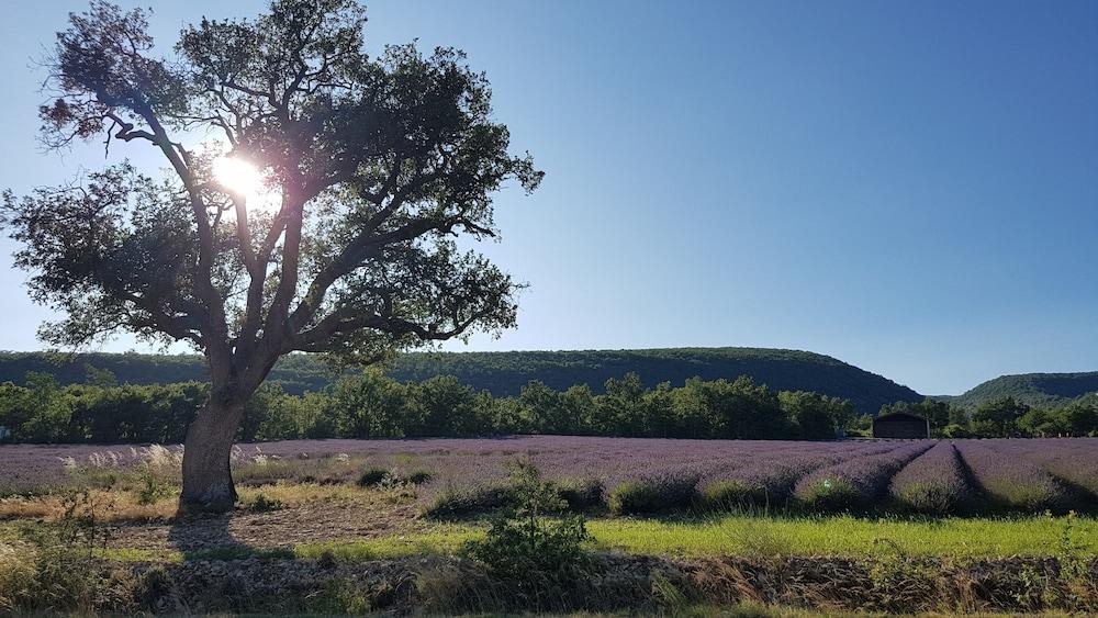 Logis Auberge De Tavel מראה חיצוני תמונה
